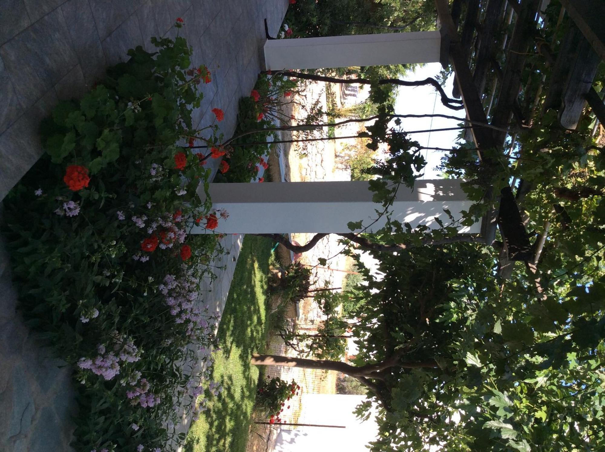 Eleana Studios Skyros Exterior foto